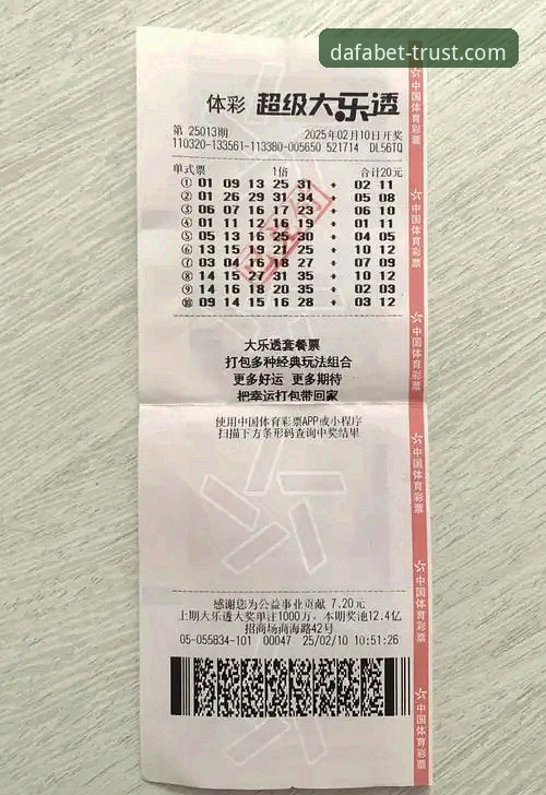 大发彩票官网入口安全使用指南：从下载到投注的完整攻略